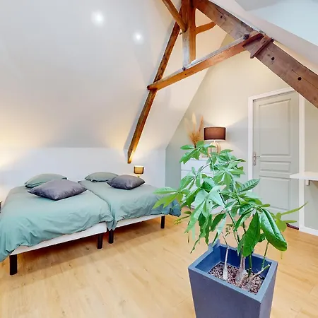 Apartment Gorgeous In *